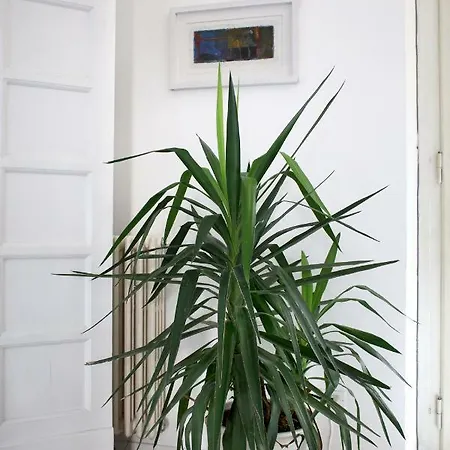 Quarto em Acomodações Particulares Porta Al Serraglio